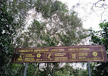 Las Cataratas del Iguazú