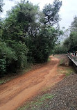 Las Cataratas del Iguazú