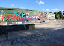 Parque de skate-Mataderos