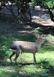 Buenos Aires Ecoparque