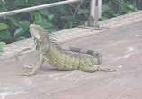 Parque Lineal del Estero Salado