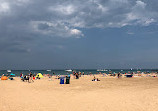 Kathy Osterman Beach House at Hollywood Beach