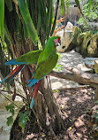 Xcaret Park