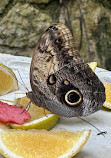 Xcaret Park