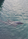 Xcaret Park