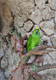 Xcaret Park