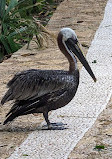 Xcaret Park