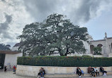 Basilica of the Most Holy Trinity