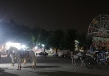 Jinnah Park