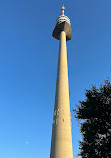 برج دانوب