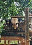 Istana Panda Indonesia Taman Safari Bogor