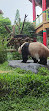 Istana Panda Indonesia Taman Safari Bogor