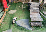 Istana Panda Indonesia Taman Safari Bogor