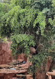 Istana Panda Indonesia Taman Safari Bogor