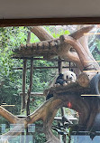 Istana Panda Indonesia Taman Safari Bogor