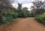 KCR ECO URBAN PARK