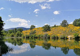 Salto del Olvido