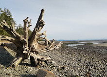 Rathtrevor Beach Provincial Park