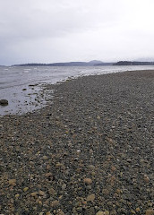 parc provincial de Rathtrevor Beach