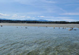 Rathtrevor Beach Provincial Park