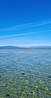 Rathtrevor Beach Provincial Park