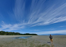 parc provincial de Rathtrevor Beach