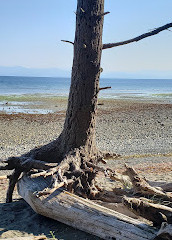 parc provincial de Rathtrevor Beach