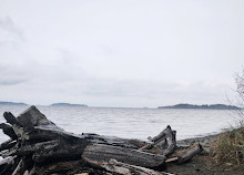 parc provincial de Rathtrevor Beach