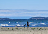 Rathtrevor Beach Provincial Park