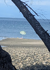 parc provincial de Rathtrevor Beach