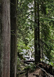 Shannon Falls Provincial Park