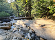 Provinzpark Shannon Falls