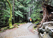 Provinzpark Shannon Falls