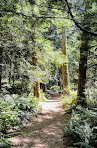 Milner Gardens & Woodland - Vancouver Island University