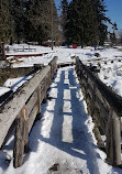 West Vancouver Centennial Seawalk