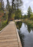 Itasca State Park