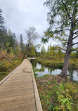 Itasca State Park