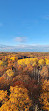 Itasca State Park