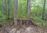 Itasca State Park