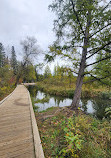 Itasca State Park