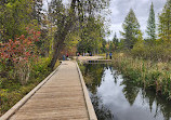 Itasca State Park