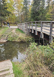 Itasca State Park