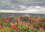 Dorset Lookout Tower