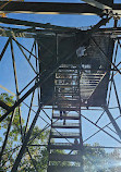 Dorset Lookout Tower