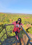 Dorset Lookout Tower