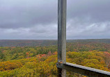 Dorset Lookout Tower