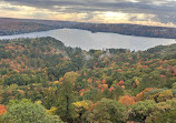 Dorset Lookout Tower