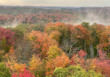 Dorset Lookout Tower