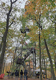 Dorset Lookout Tower