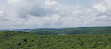 Dorset Lookout Tower